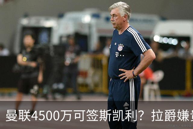 曼联4500万可签斯凯利？拉爵嫌贵已拒绝！但红魔仍未放弃追求霍尔