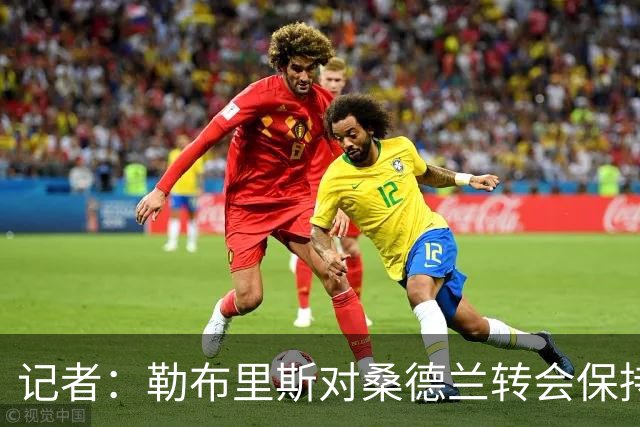 记者：勒布里斯对桑德兰转会保持平静，预计将有新援加盟