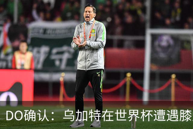 DO确认：乌加特在世界杯遭遇膝盖韧带重伤，预计面临长期缺阵